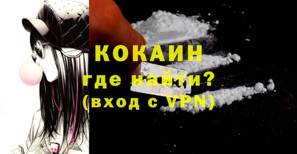 соль ск Кукмор