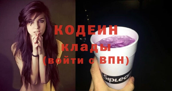 соль ск Кукмор