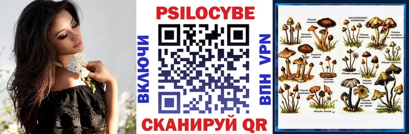 Псилоцибиновые грибы Cubensis  продажа наркотиков  ссылка на мегу зеркало  Курлово 